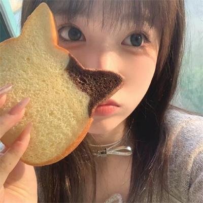 如果历史是一群喵第六季